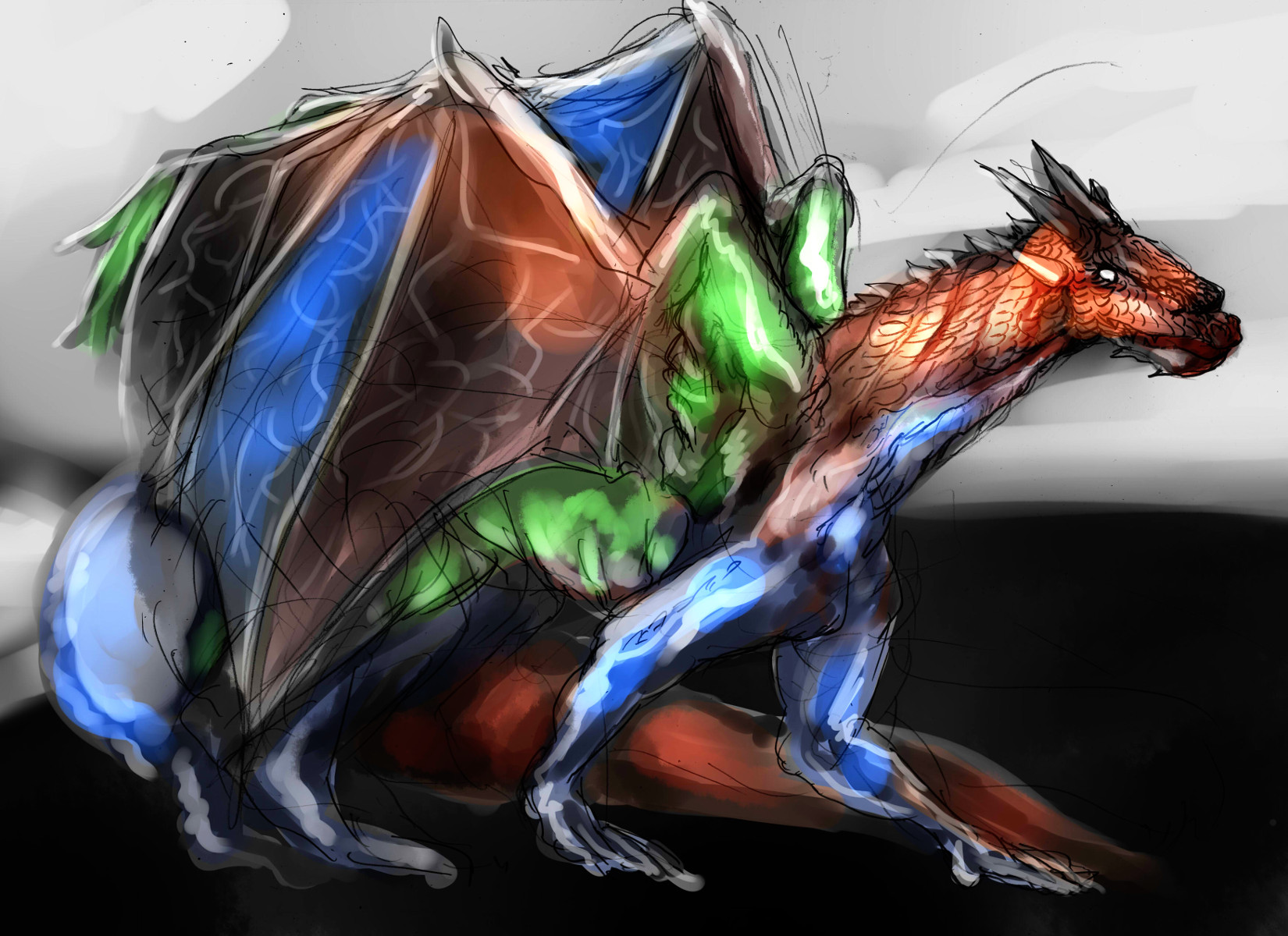 ヤング万色ドラゴン